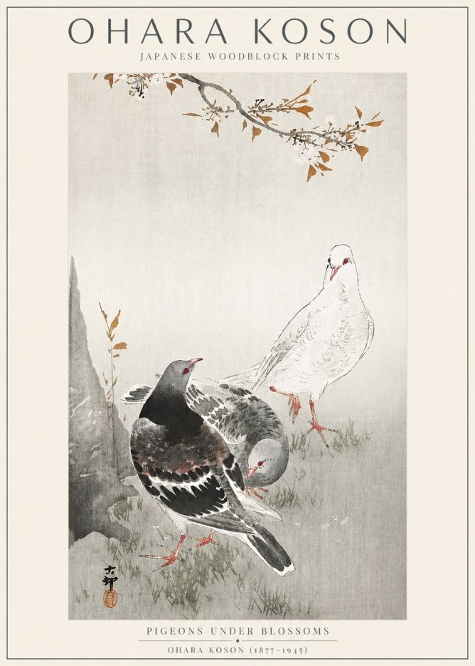 Ohara Koson Pigeons Under Blossoms No3 - Póster