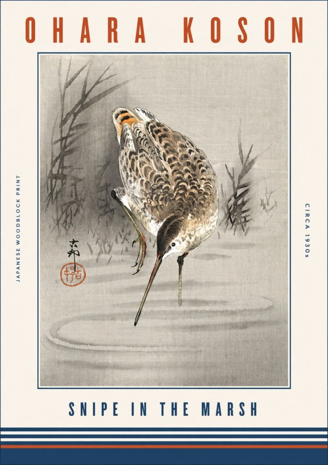 Ohara Koson Snipe in the Marsh No3 - Póster