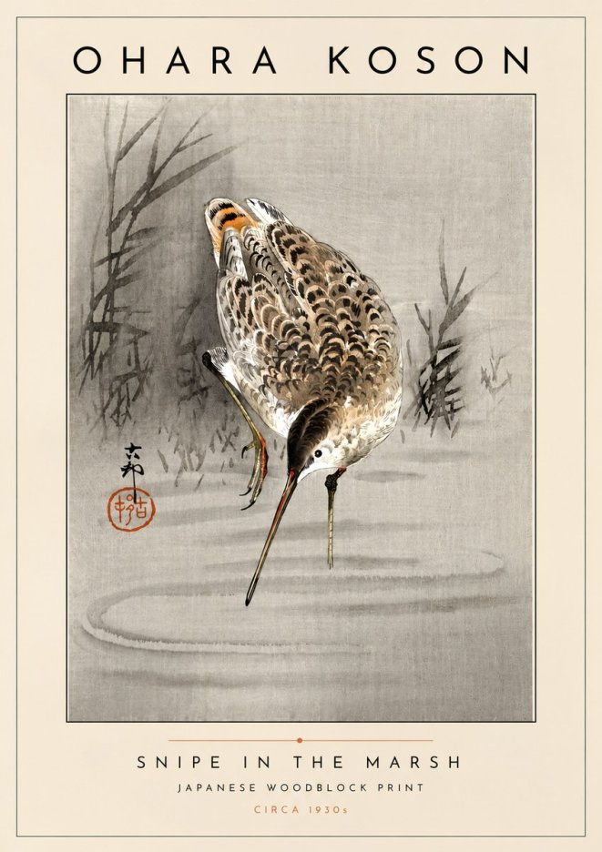 Ohara Koson Snipe in the Marsh No4 - Póster