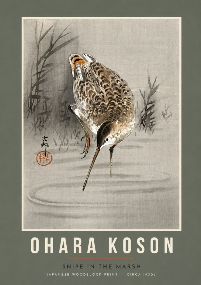 Ohara Koson Snipe in the Marsh No5 - Póster