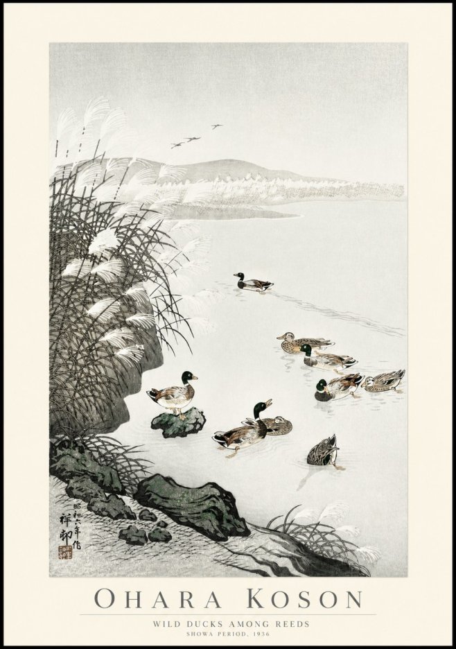 Ohara Koson Wild Ducks Among Reeds No1 - Póster