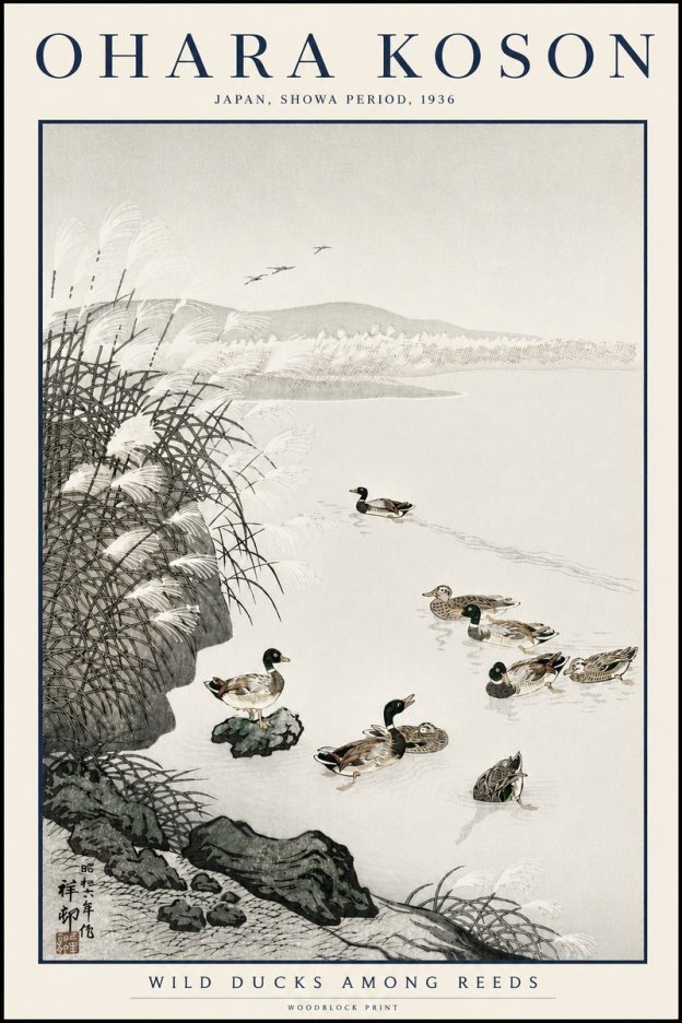 Ohara Koson Wild Ducks Among Reeds No3 - Póster