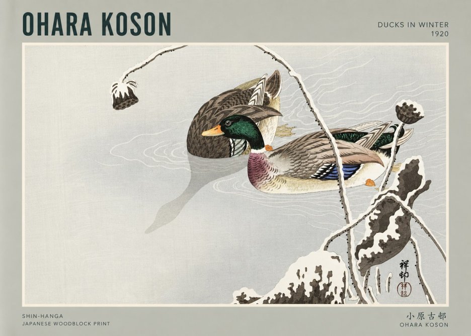 Ohara Koson Ducks in Winter No3 - Póster