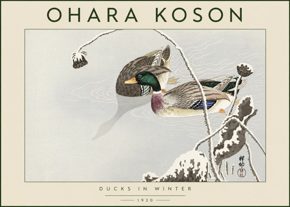 Ohara Koson Ducks in Winter No4 - Póster
