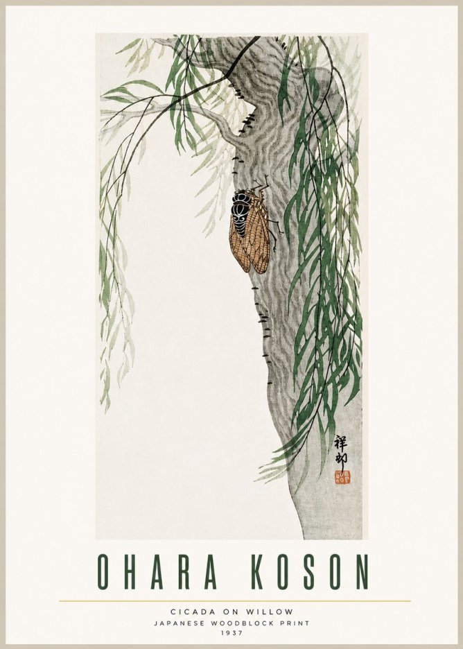 Ohara Koson Cicada on Willow No3 - Póster
