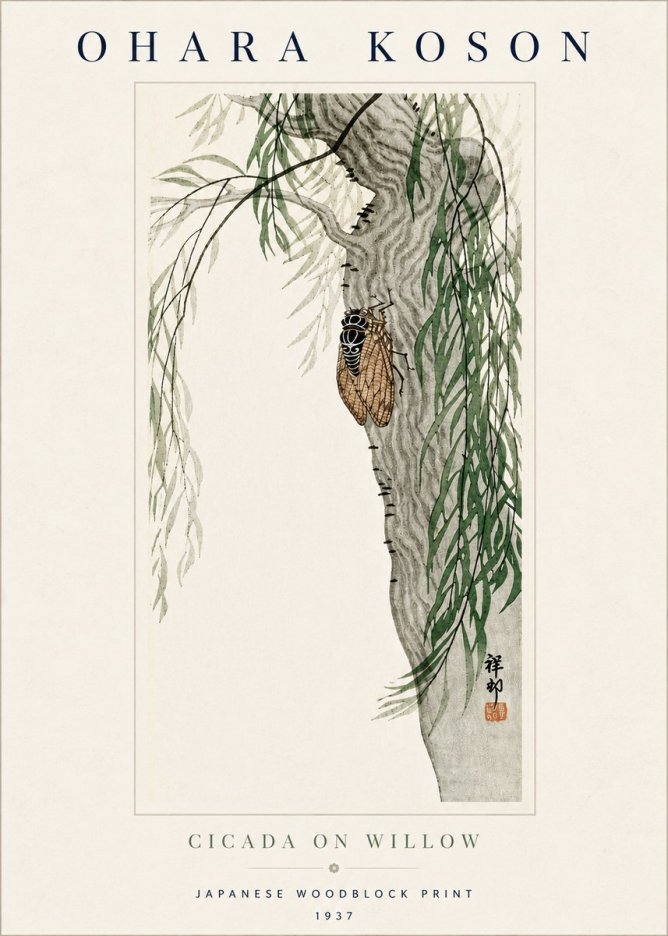 Ohara Koson Cicada on Willow No5 - Póster