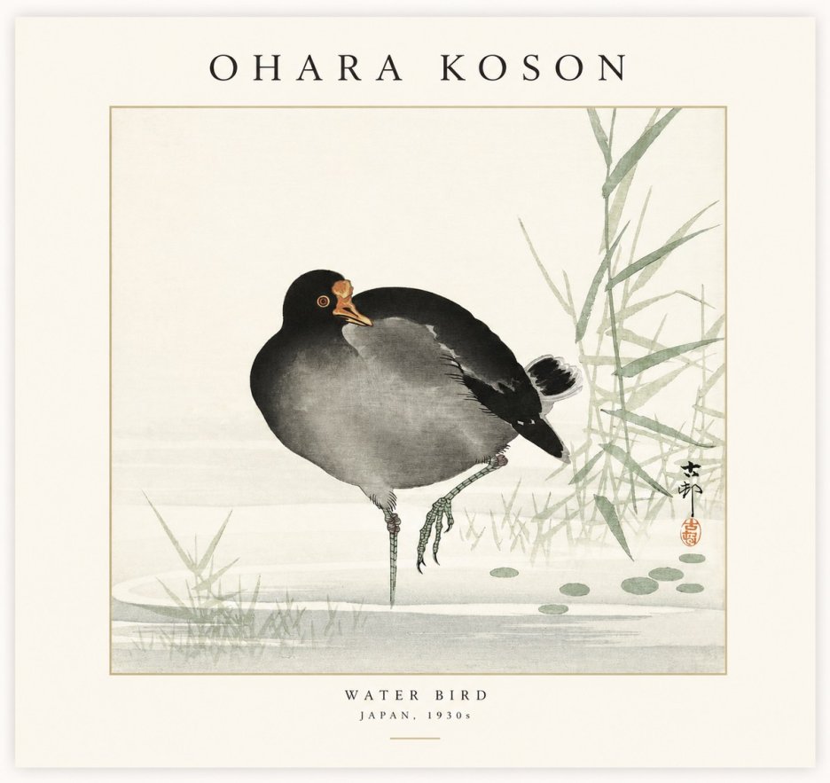 Ohara Koson Water Bird No1 - Póster
