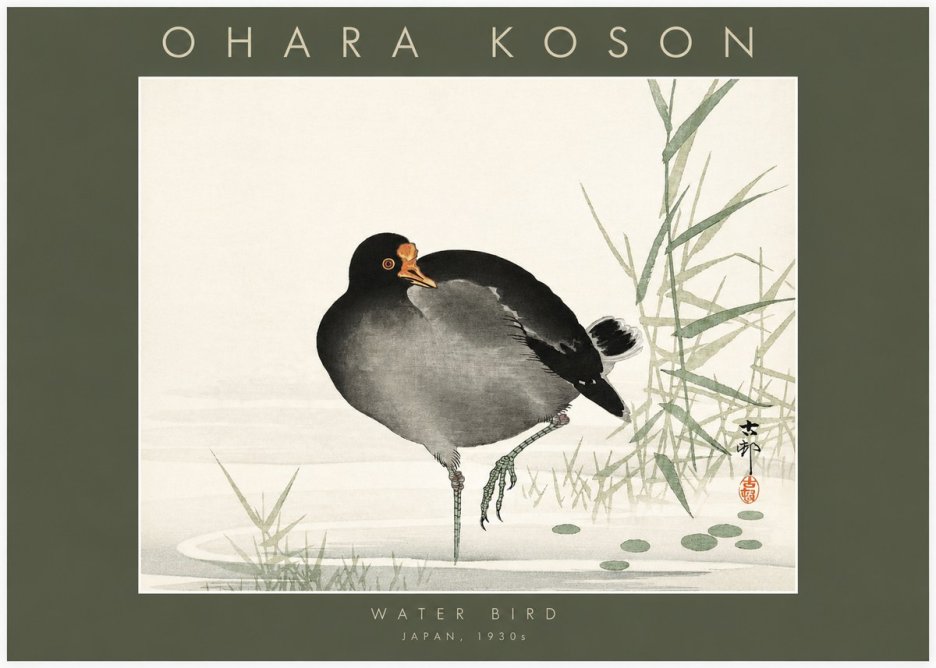 Ohara Koson Water Bird No2 - Póster