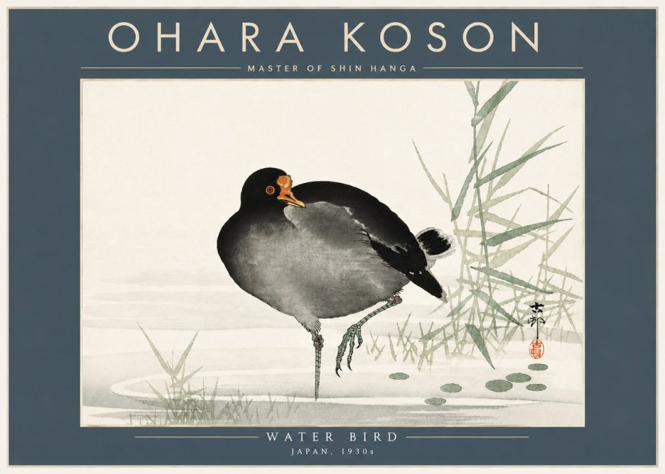 Ohara Koson Water Bird No5 - Póster