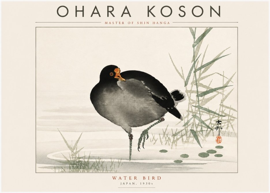Ohara Koson Water Bird No6 - Póster