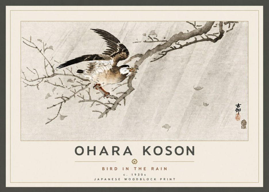 Ohara Koson Bird in the Rain No5 - Póster