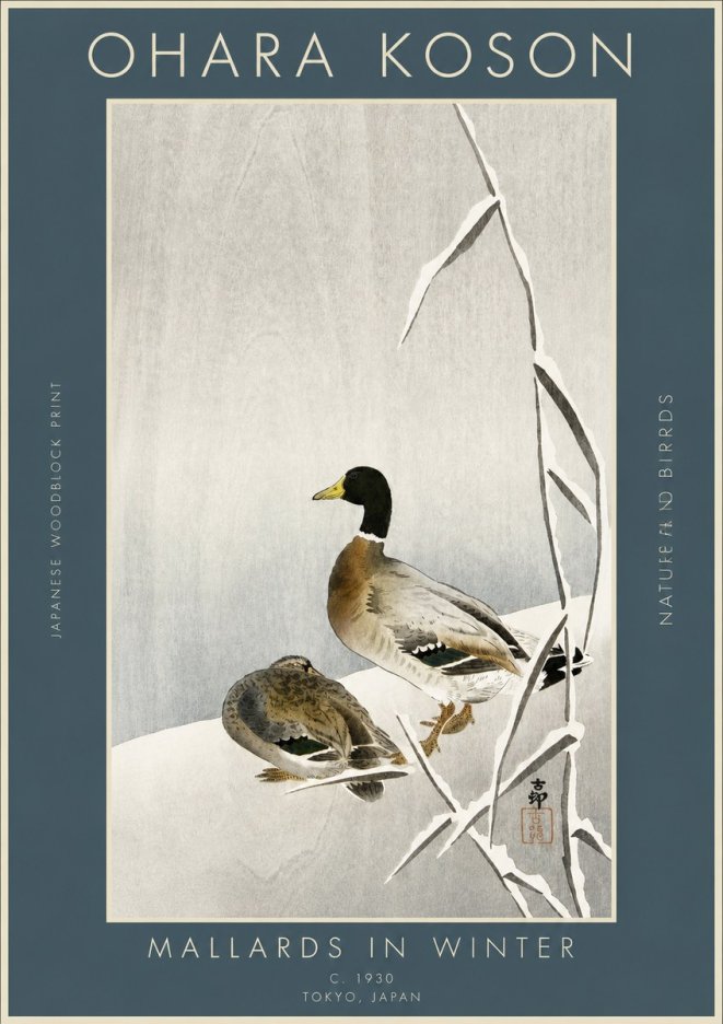 Ohara Koson Mallards in Winter No3 - Póster