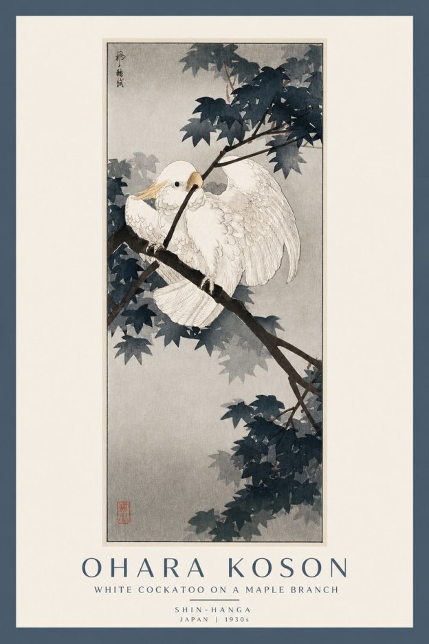 Ohara Koson White Cockatoo on a Maple Branch No2 - Póster