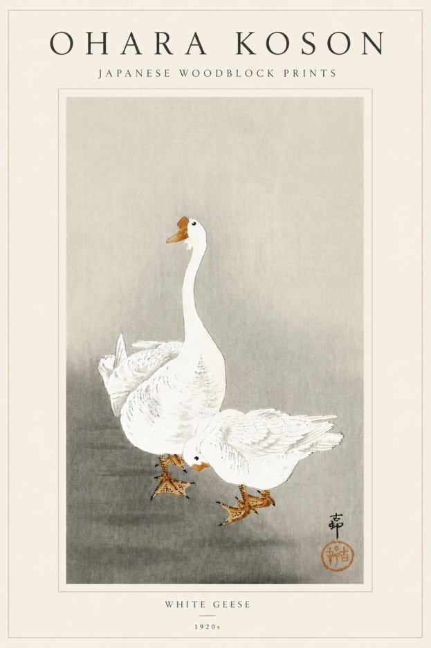 Ohara Koson White Geese No5 - Póster