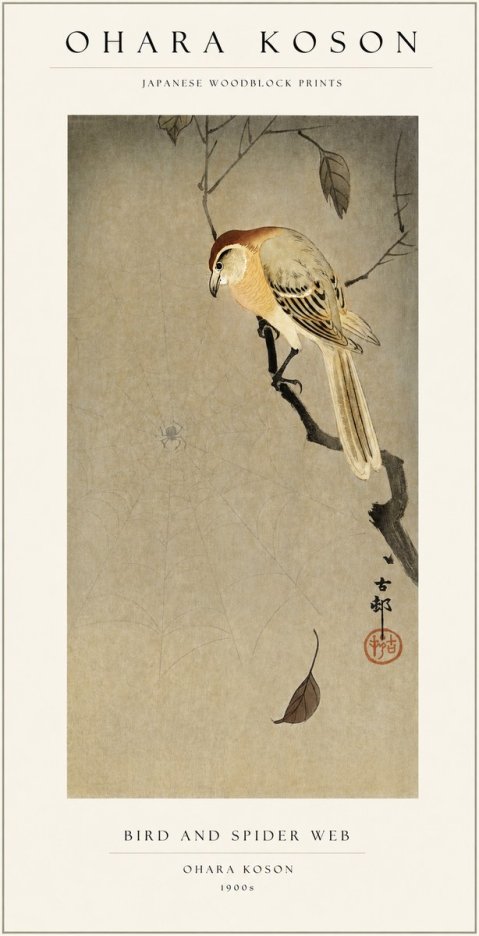 Ohara Koson Bird and Spider Web I No1 - Póster