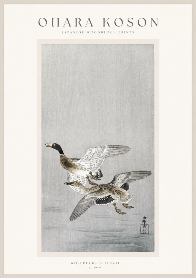 Ohara Koson Wild Ducks in Flight No1 - Póster