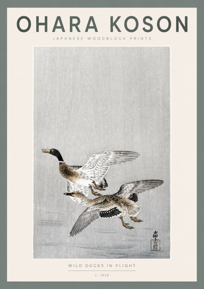 Ohara Koson Wild Ducks in Flight No2 - Póster