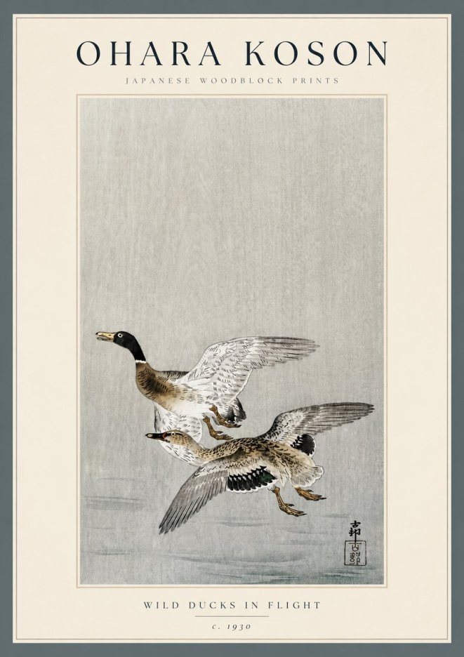 Ohara Koson Wild Ducks in Flight No3 - Póster