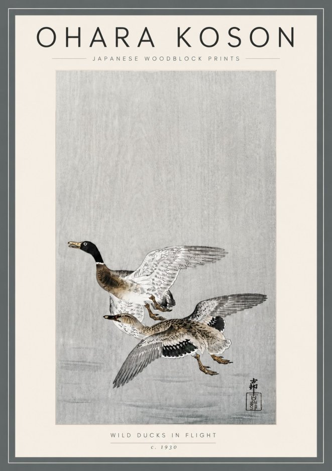 Ohara Koson Wild Ducks in Flight No5 - Póster
