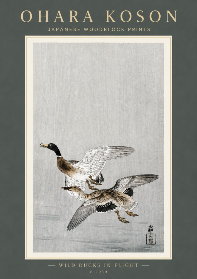 Ohara Koson Wild Ducks in Flight No6 - Póster