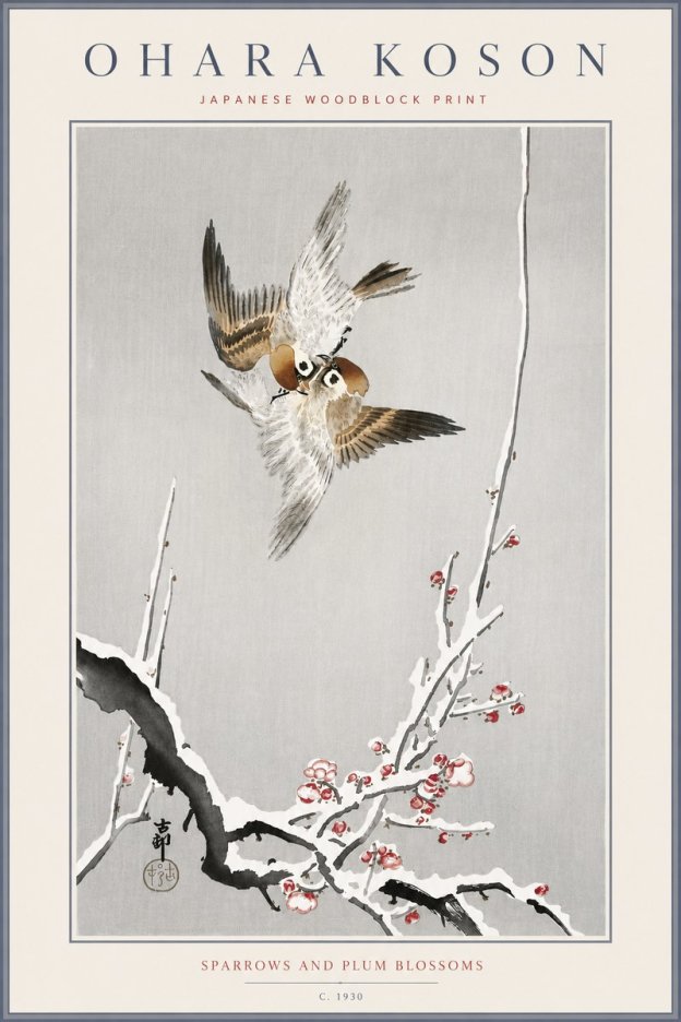 Ohara Koson Sparrows and Plum Blossoms No6 - Póster