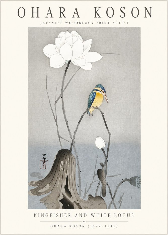 Ohara Koson Kingfisher and White Lotus No1 - Póster
