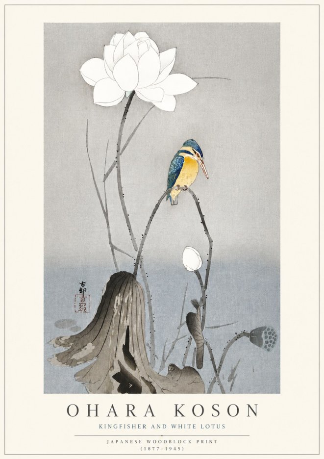 Ohara Koson Kingfisher and White Lotus No3 - Póster