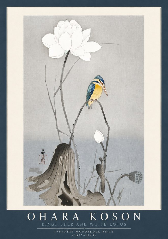Ohara Koson Kingfisher and White Lotus No4 - Póster