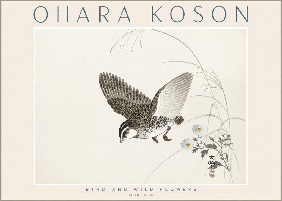 Ohara Koson Bird and Wild Flowers No2 - Póster
