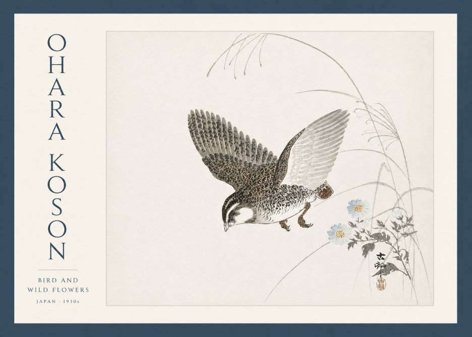 Ohara Koson Bird and Wild Flowers No3 - Póster