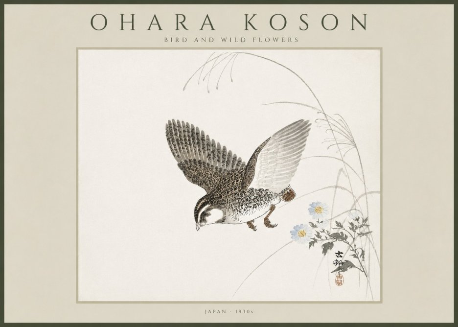 Ohara Koson Bird and Wild Flowers No4 - Póster