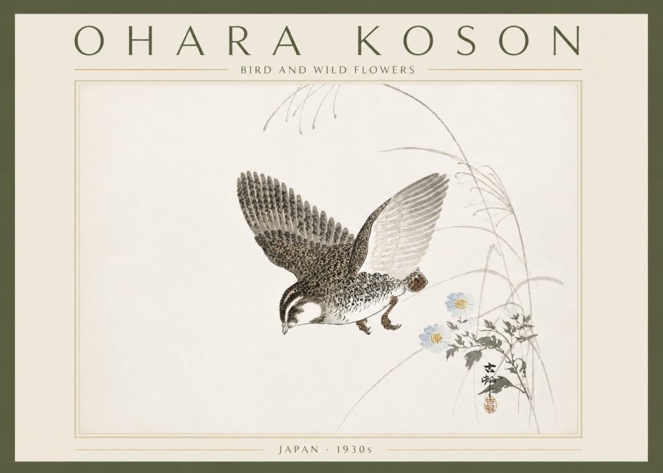 Ohara Koson Bird and Wild Flowers No6 - Póster
