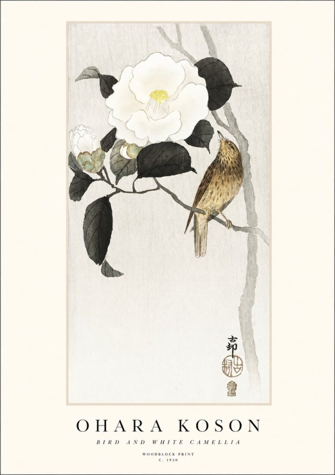 Ohara Koson Bird and White Camellia No1 - Póster