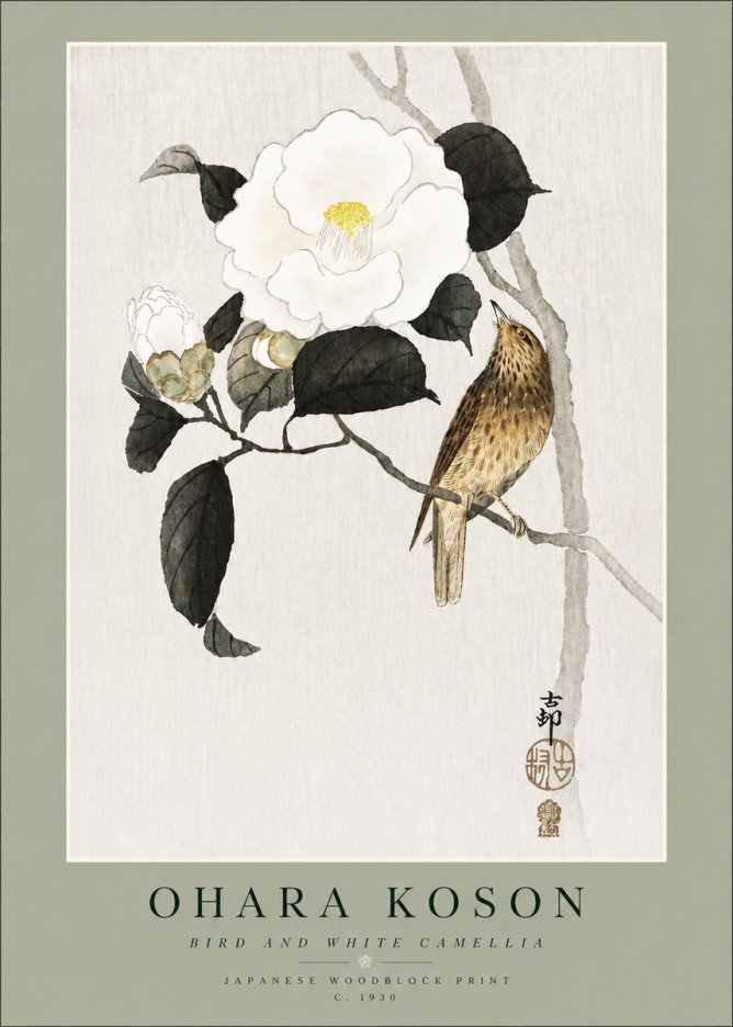 Ohara Koson Bird and White Camellia No4 - Póster