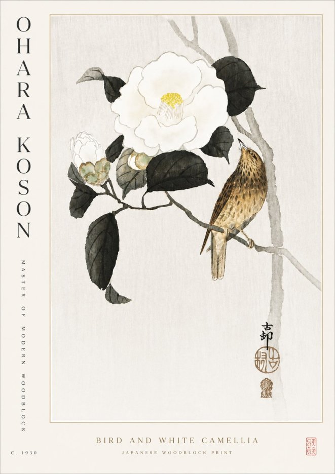 Ohara Koson Bird and White Camellia No5 - Póster