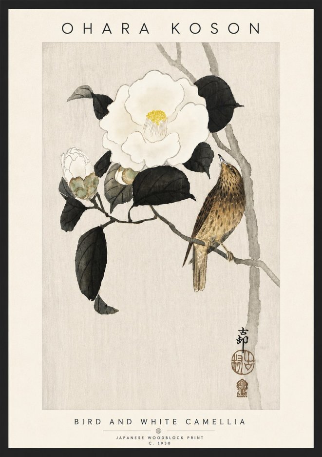 Ohara Koson Bird and White Camellia No6 - Póster