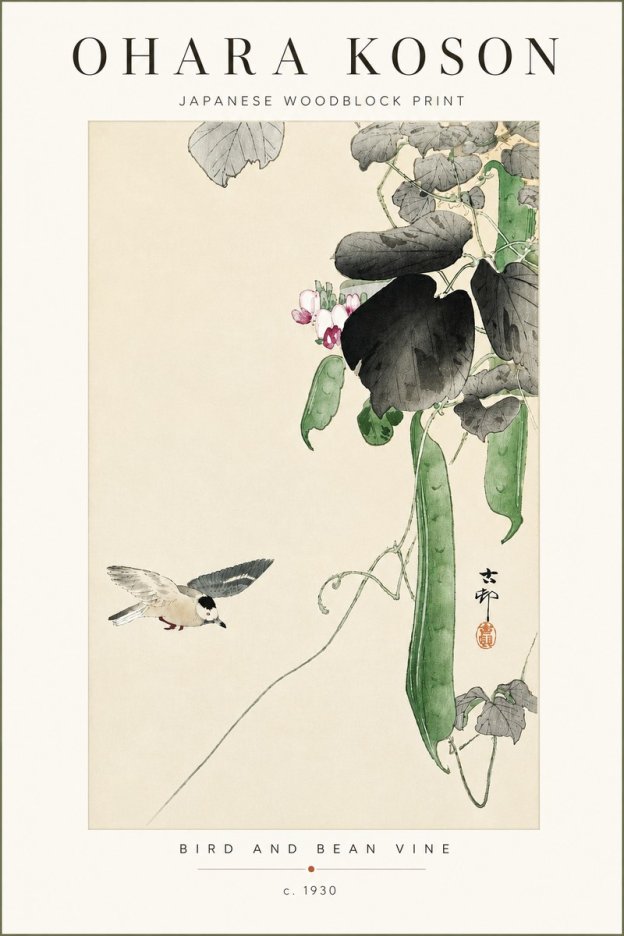 Ohara Koson Bird and Bean Vine No4 - Póster