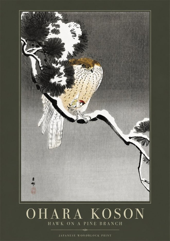 Ohara Koson Hawk on a Pine Branch No2 - Póster
