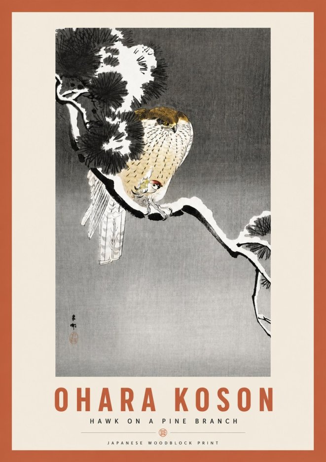 Ohara Koson Hawk on a Pine Branch No3 - Póster