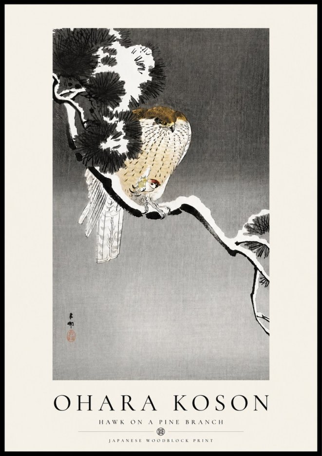 Ohara Koson Hawk on a Pine Branch No4 - Póster