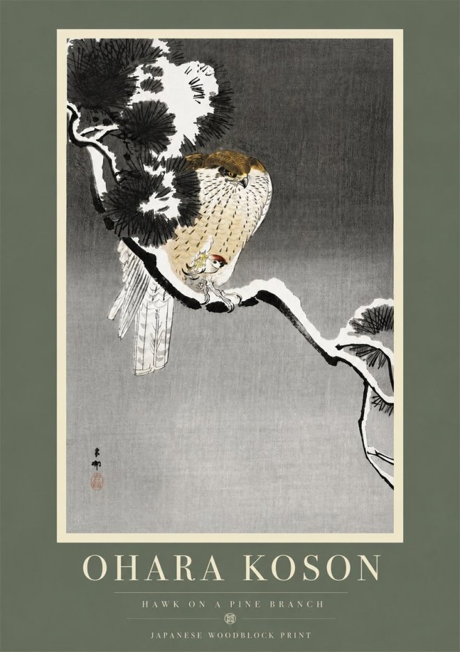 Ohara Koson Hawk on a Pine Branch No5 - Póster