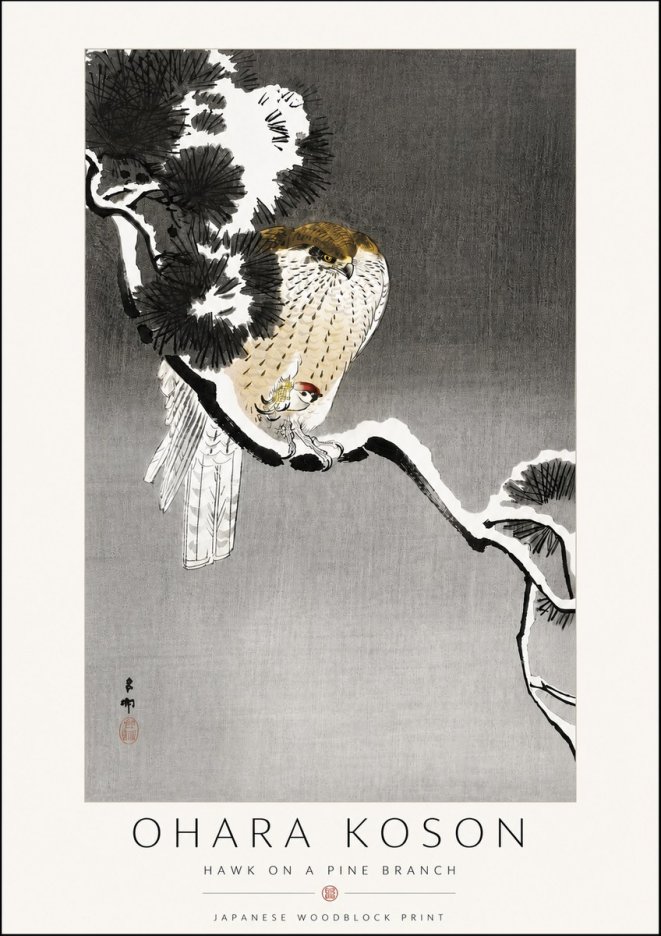 Ohara Koson Hawk on a Pine Branch No6 - Póster