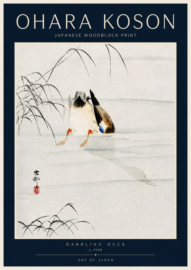 Ohara Koson Dabbling Duck No4 - Póster