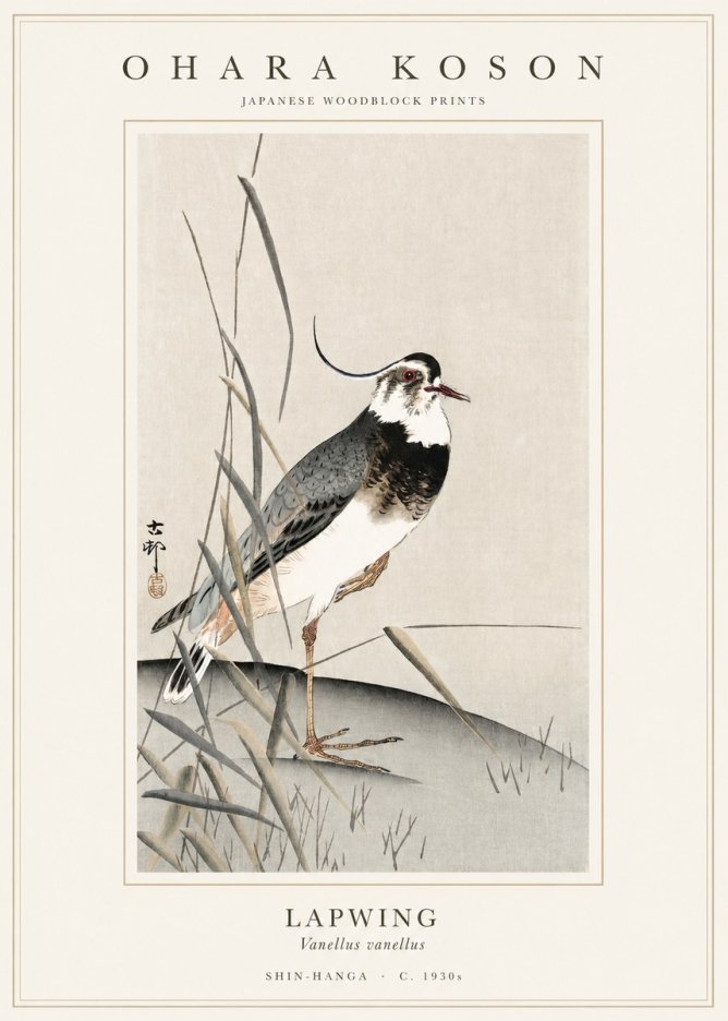 Ohara Koson Lapwing No1 - Póster