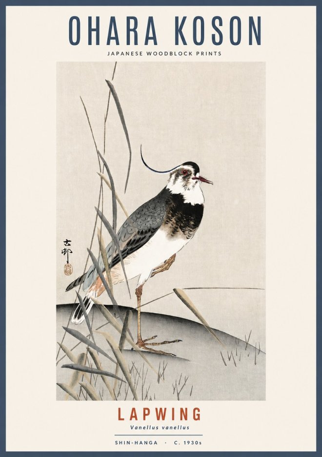 Ohara Koson Lapwing No2 - Póster