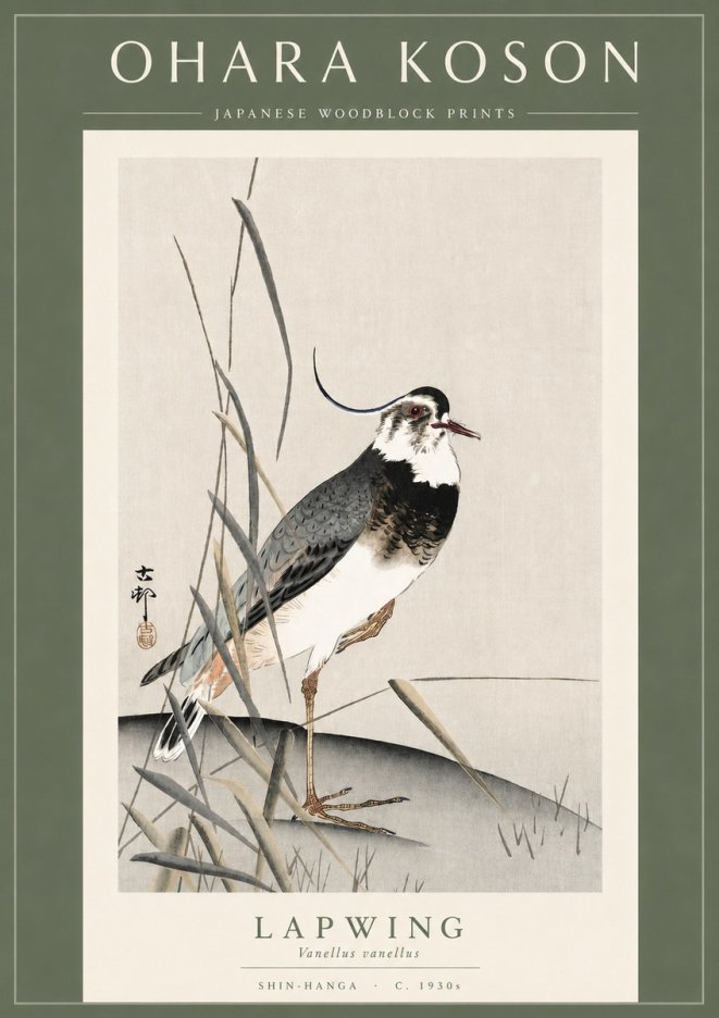 Ohara Koson Lapwing No3 - Póster