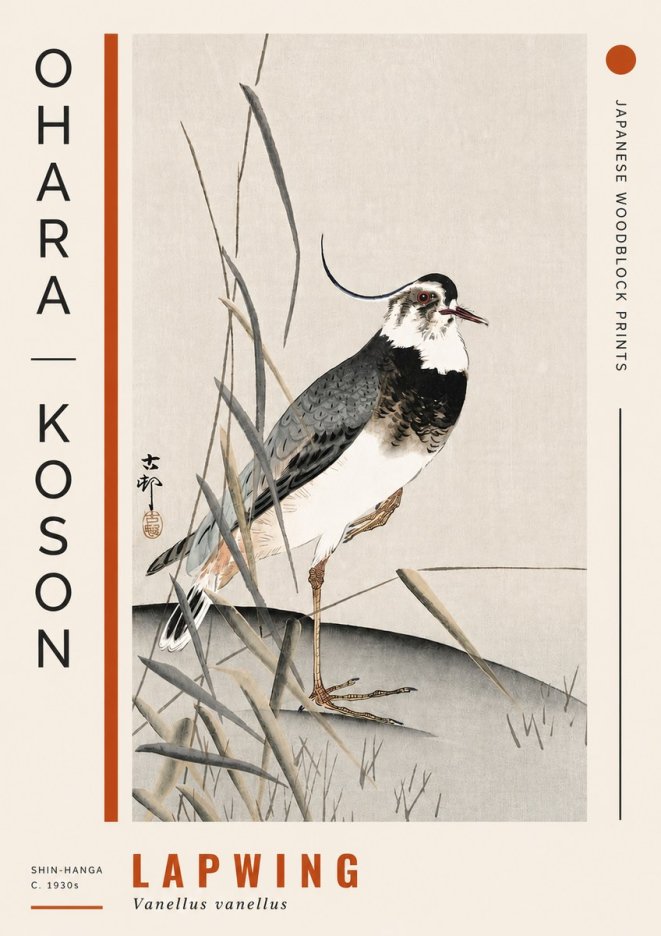 Ohara Koson Lapwing No4 - Póster