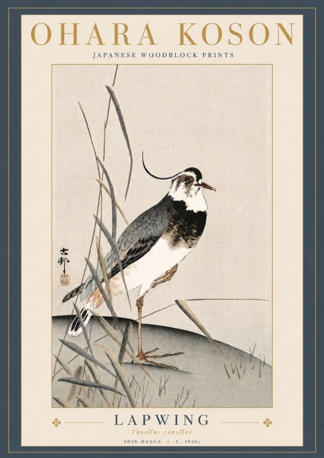 Ohara Koson Lapwing No5 - Póster