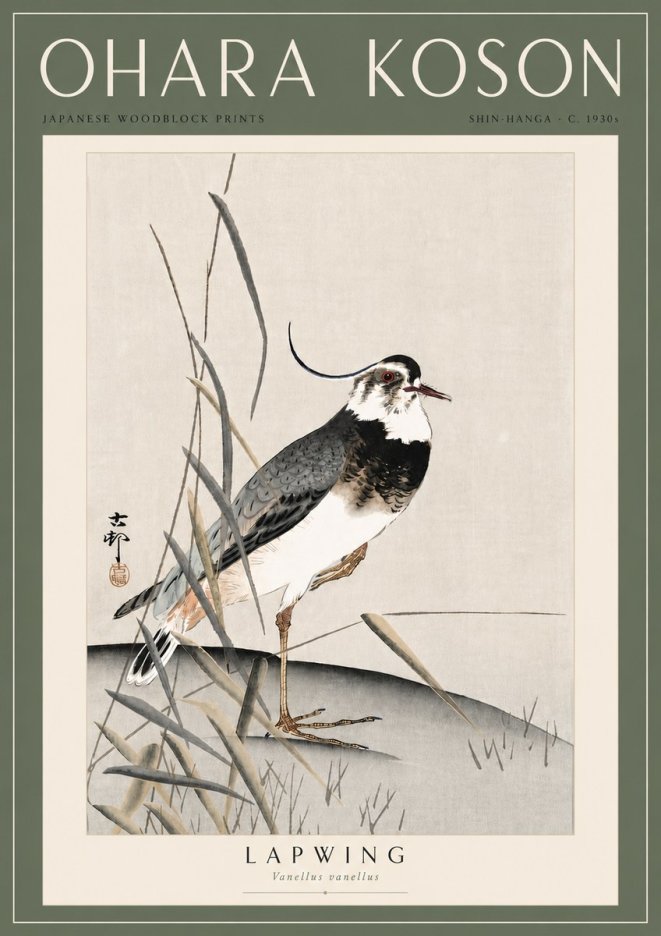 Ohara Koson Lapwing No6 - Póster