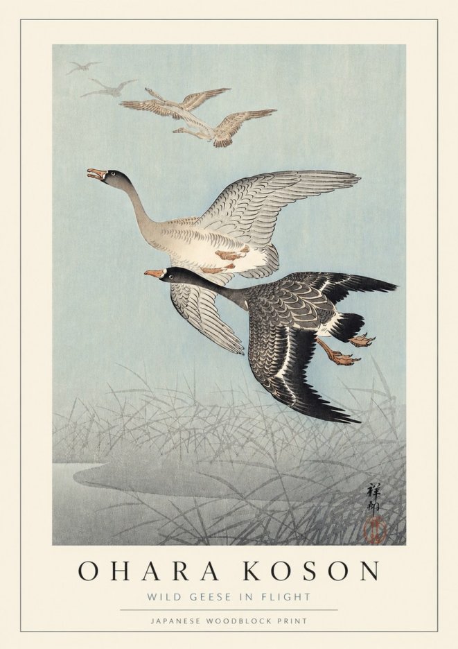 Ohara Koson Wild Geese in Flight II No3 - Póster
